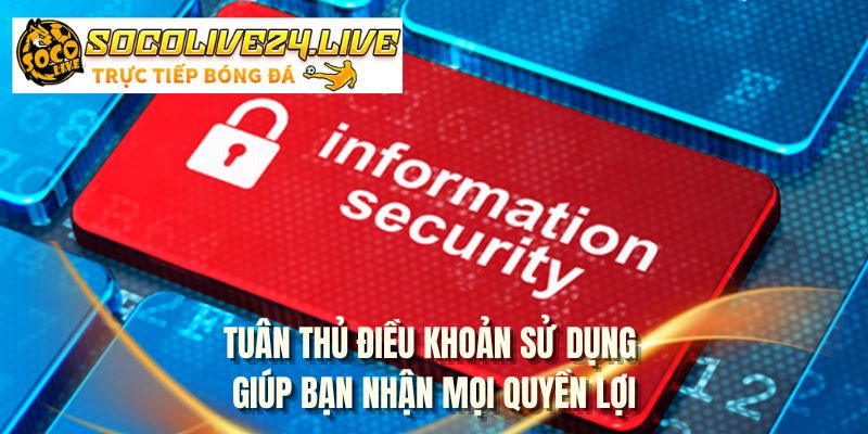 Tuân thủ điều khoản sử dụng giúp bạn nhận mọi quyền lợi