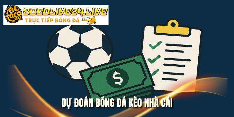du-doan-bong-da-keo-nha-cai