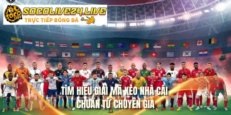 Tìm hiểu giải mã kèo nhà cái chuẩn từ chuyên gia