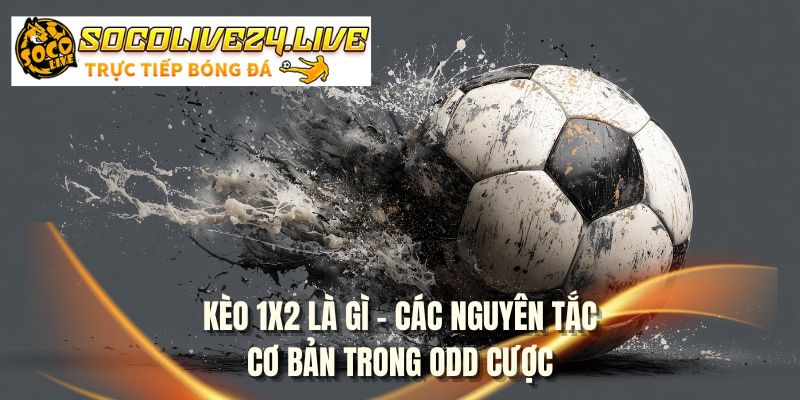 Kèo 1x2 là gì - Các nguyên tắc cơ bản trong odd cược